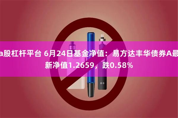 a股杠杆平台 6月24日基金净值：易方达丰华债券A最新净值1.2659，跌0.58%