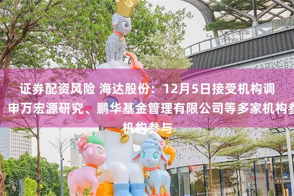 证券配资风险 海达股份：12月5日接受机构调研，申万宏源研究、鹏华基金管理有限公司等多家机构参与