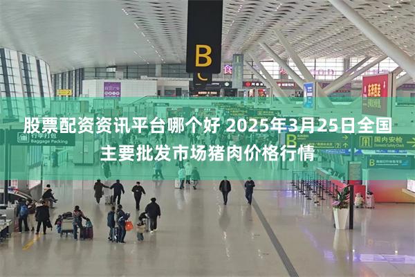 股票配资资讯平台哪个好 2025年3月25日全国主要批发市场猪肉价格行情