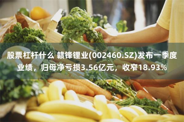 股票杠杆什么 赣锋锂业(002460.SZ)发布一季度业绩，归母净亏损3.56亿元，收窄18.93%