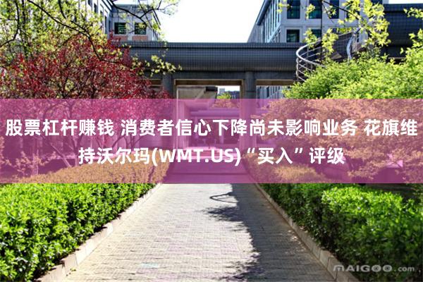股票杠杆赚钱 消费者信心下降尚未影响业务 花旗维持沃尔玛(WMT.US)“买入”评级