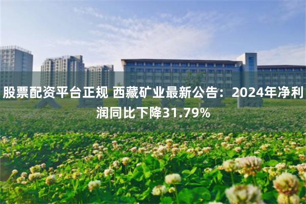 股票配资平台正规 西藏矿业最新公告：2024年净利润同比下降31.79%