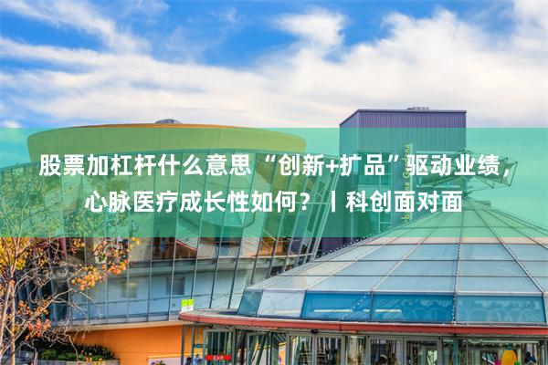 股票加杠杆什么意思 “创新+扩品”驱动业绩，心脉医疗成长性如何？丨科创面对面