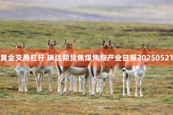 黄金交易杠杆 瑞达期货焦煤焦炭产业日报20250521