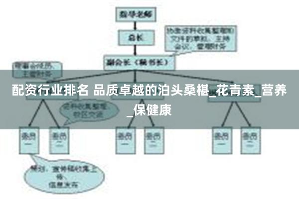 配资行业排名 品质卓越的泊头桑椹_花青素_营养_保健康