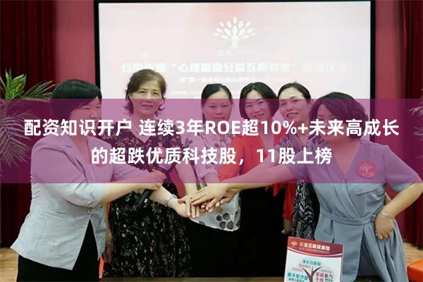 配资知识开户 连续3年ROE超10%+未来高成长的超跌优质科技股，11股上榜