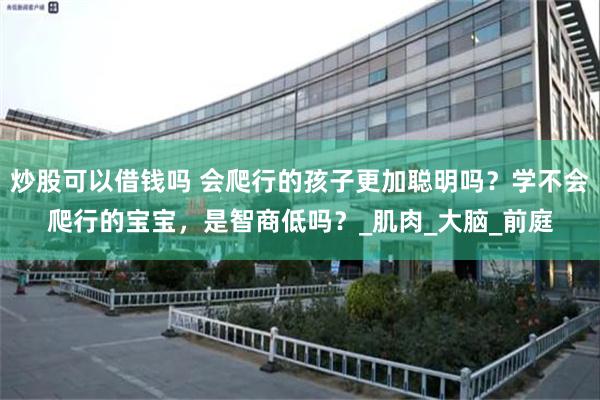 炒股可以借钱吗 会爬行的孩子更加聪明吗？学不会爬行的宝宝，是智商低吗？_肌肉_大脑_前庭