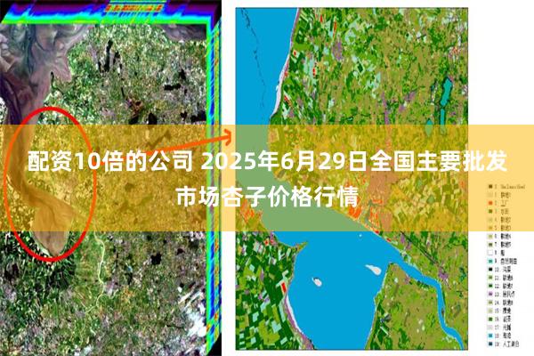 配资10倍的公司 2025年6月29日全国主要批发市场杏子价格行情