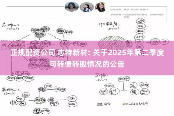 正规配资公司 志特新材: 关于2025年第二季度可转债转股情况的公告