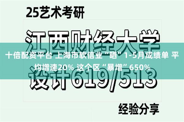 十倍配资平台 上海市软信业“晒”1-5月成绩单 平均增速20% 这个区“暴增”650%