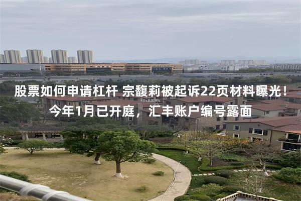 股票如何申请杠杆 宗馥莉被起诉22页材料曝光！今年1月已开庭，汇丰账户编号露面