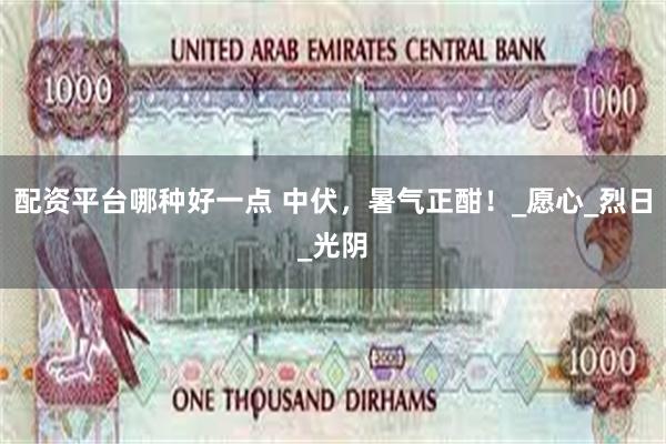 配资平台哪种好一点 中伏，暑气正酣！_愿心_烈日_光阴