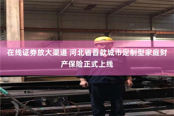 在线证劵放大渠道 河北省首款城市定制型家庭财产保险正式上线