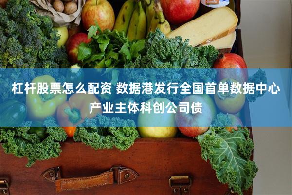 杠杆股票怎么配资 数据港发行全国首单数据中心产业主体科创公司债