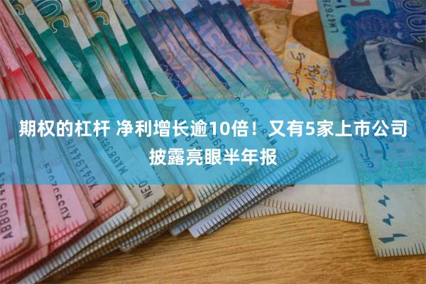 期权的杠杆 净利增长逾10倍!又有5家上市公司披露亮眼半年报